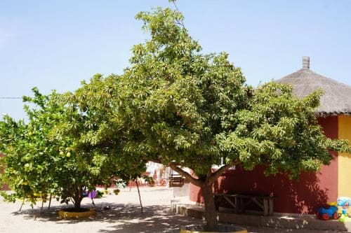 La construction de la pouponniére